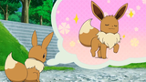 Eevee every Cute Moments