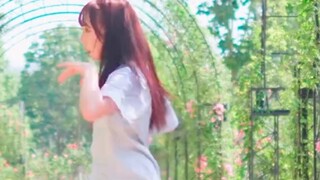 ☀Late summer, sunshine, meeting you☀【Original choreography】
