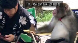 Ôi trời ơi, nó vẫn còn kết nối.
