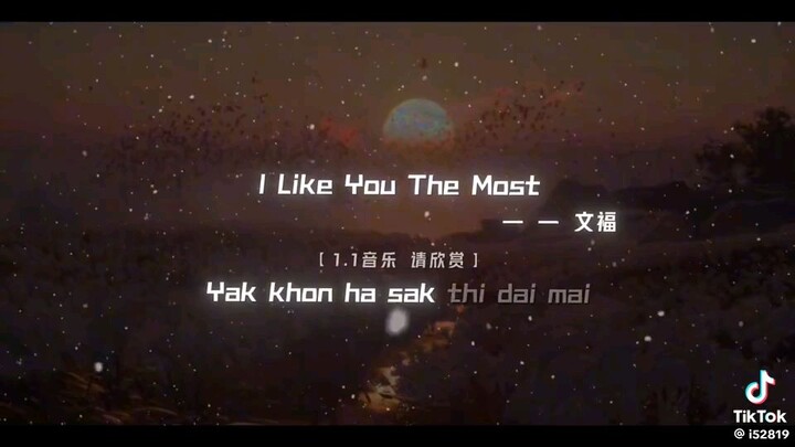 like you the most