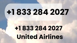 United Airlines Customer Number Date Change Policy