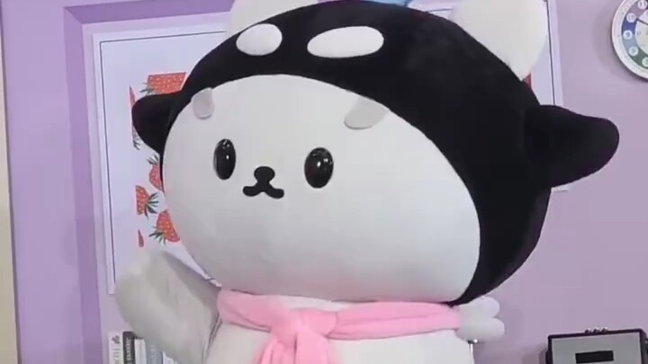 Sansan nhảy điệu cổ vũ của Jura, Nara xem say mê!