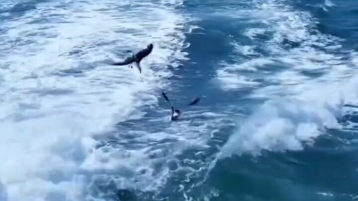 Bảo vệ môi trường sinh thái là trách nhiệm của mỗi người