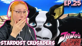 IGGYS STAND Jojo's Bizarre Adventure Stardust Crusaders Episode 25 REACTION