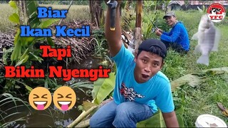 Mancing Ikan Kecil Di Selokan yang Bikin Greget