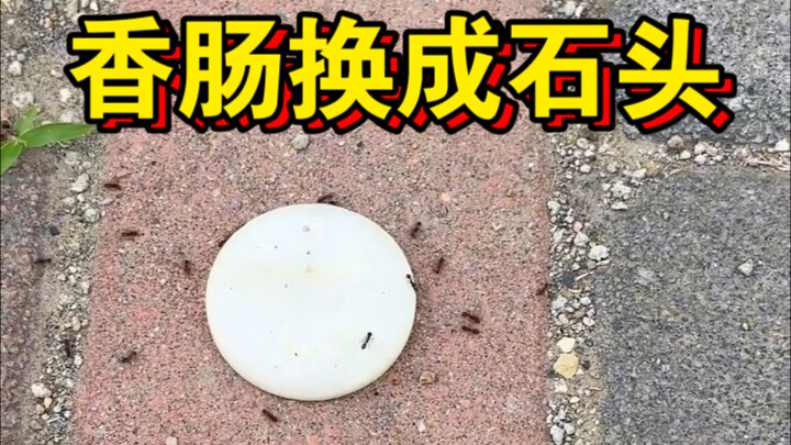 Ngẫu nhiên để một con kiến bị đánh ba lần