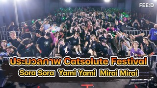 ประมวลภาพคอนเสิร์ต Catsolute Festival จัดเต็มความสนุกกับ Sora Sora - Yami Yami - Mirai Mirai : FEED