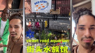 爆火的纽约街边水族馆