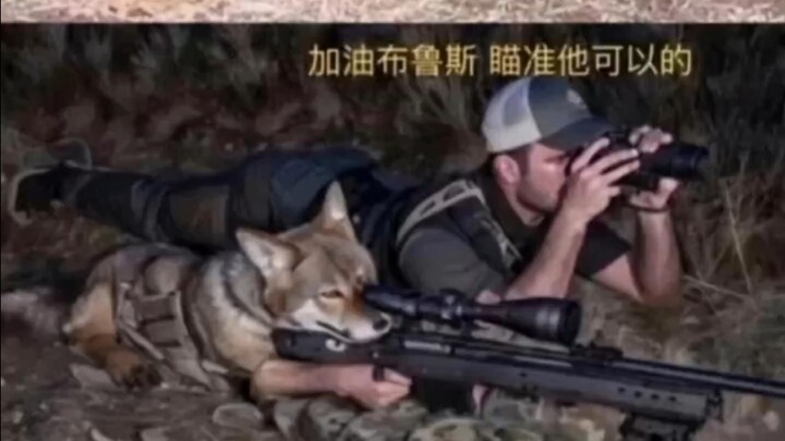 ⚡Way to Go, Bruce!⚡