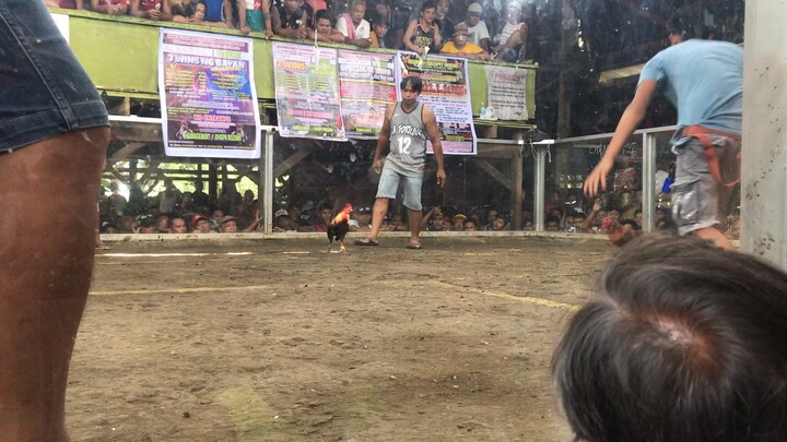 2nd fight win