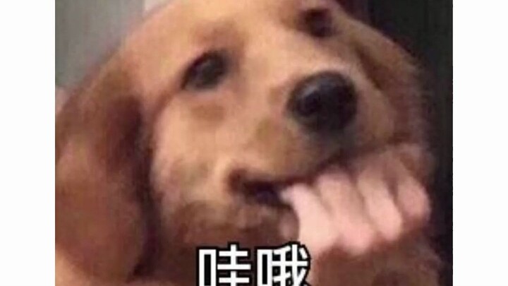 นี่น่าจะเป็นไฟควบคุมด้วยเสียงที่สุภาพที่สุดแล้วล่ะ