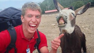 Laugh Uncontrollably!😁 New Funny Animals Video 2024