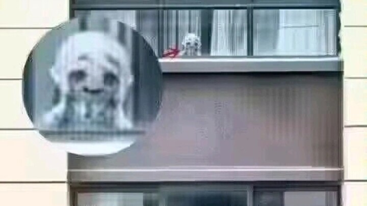 What a scary doll, it's like some kind of ritual (꒪ȏ꒪;)