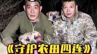 حماية الأراضي الزراعية خلال حرث الربيع، شاهد كيف نحقق الفوز بأربع مباريات متتالية