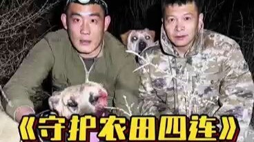 Protecting farmland during spring plowing—watch us secure four consecutive wins!