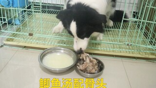 The Border Collie is about to give birth, so the owner cooks her some carp soup. Meanwhile, the Husk