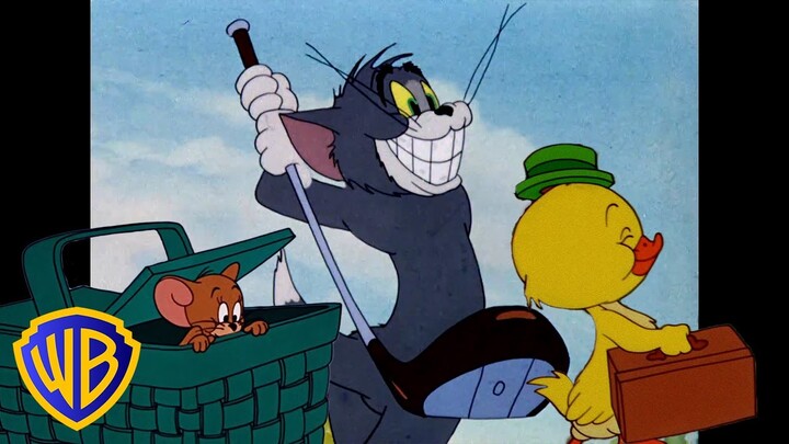 Tom und Jerry auf Deutsch 🇩🇪 | Der Frühling liegt in der Luft! 🌸🌳 | @WBKidsDeutschland​