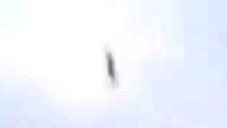 FAIL HORSE FALL