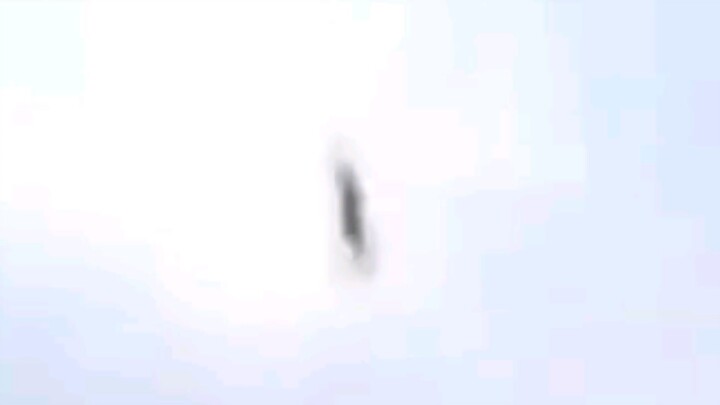 FAIL HORSE FALL