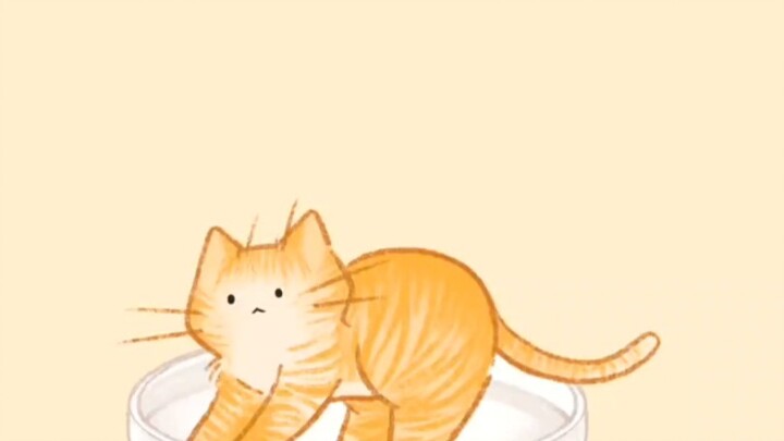 How do different breeds of kittens come about?