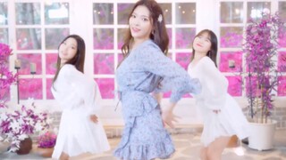 สาวๆ เต้นเพลง "LILAC" ของ IU อย่างคึกคัก ทำให้ฉันอยากจะตกหลุมรัก! | 4X4 สตูดิโอ