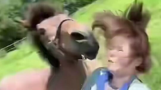 Appreciated by both the refined and the common folks—truly refined!