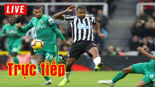 🔴 Trực tiếp Newcastle vs Watford | Vòng 22 Premier League