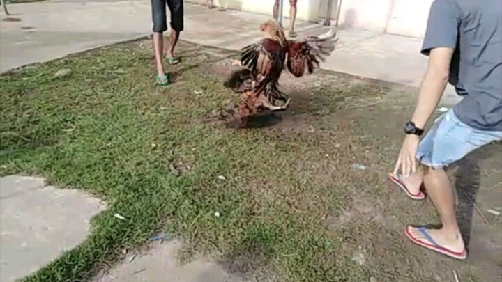 Bulik ni Badong