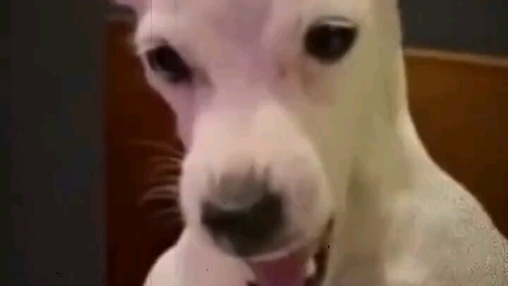 From R-Star: Guaranteed to be top-notch!