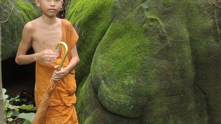 เต่าหิน