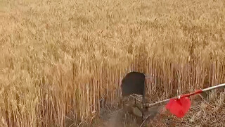 q#多功能割草机 #养殖户的好帮手