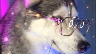 Thanks to my ex for making me so handsome