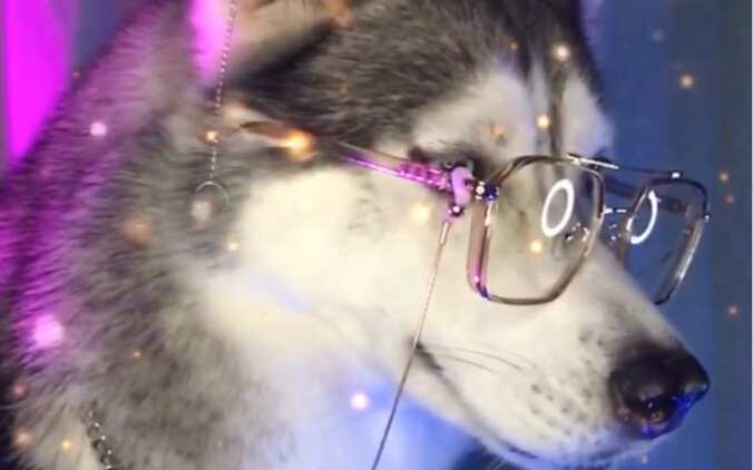 感谢前任把我变的这么帅