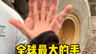 A roundup of the world's biggest hands, the largest hand, the longest palm, the longest wingspan, an