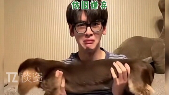 Trạch Tiêu Văn trêu chọc chú chó xúc xích nhà mình càng lớn càng dài, chú chó: Ai bênh vực cho tôi đ