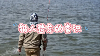 被人遗忘的常识