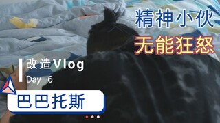 巴巴托斯改造 vlog day6