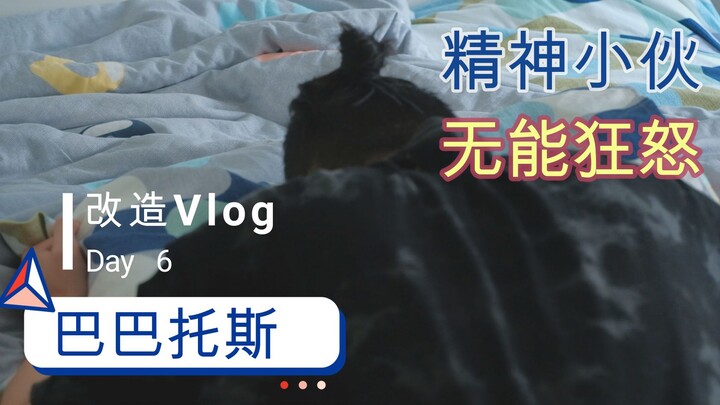 巴巴托斯改造 vlog day6
