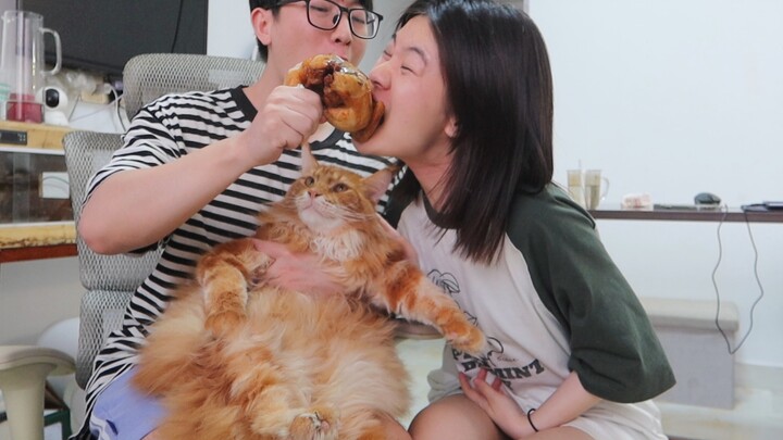 Terima kasih kepada AI yang telah memulihkan foto-foto lama saya dan kucing saya!