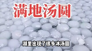 How does the fish and shrimp separation device work? Where do the ice dumplings in Sihai Lake come f