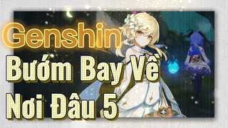 Bướm Bay Về Nơi Đâu 5