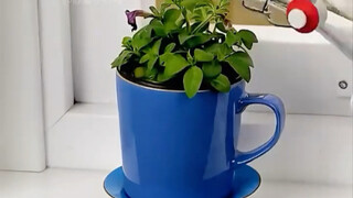 生活实用小妙招