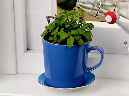 生活实用小妙招