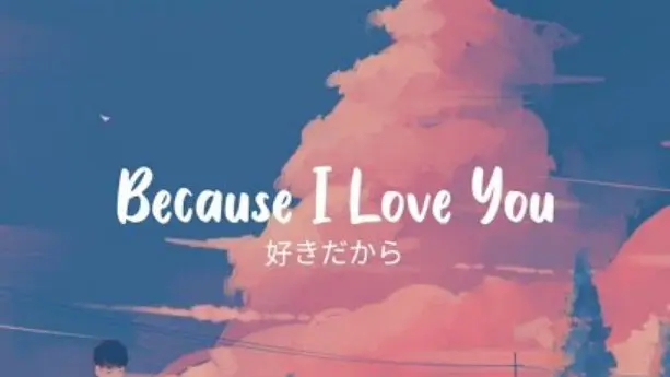 Because I love you (Video lyrics)