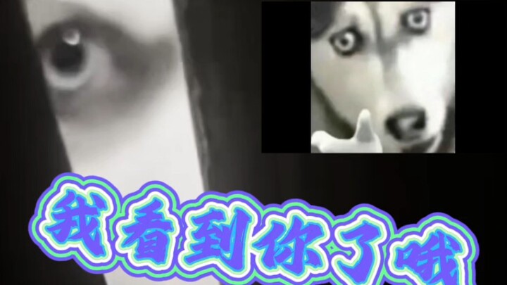 I was terrified at the time.