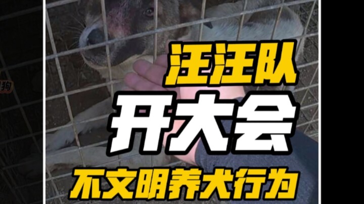 Following reports from residents, packs of dogs have been spotted gathering outside the residential 
