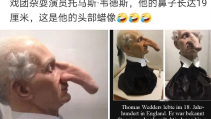 【弔图盲盒】这鼻子只用来呼吸吗？