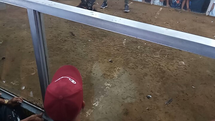 3rd fight ni dalosapi nakapasa ulit