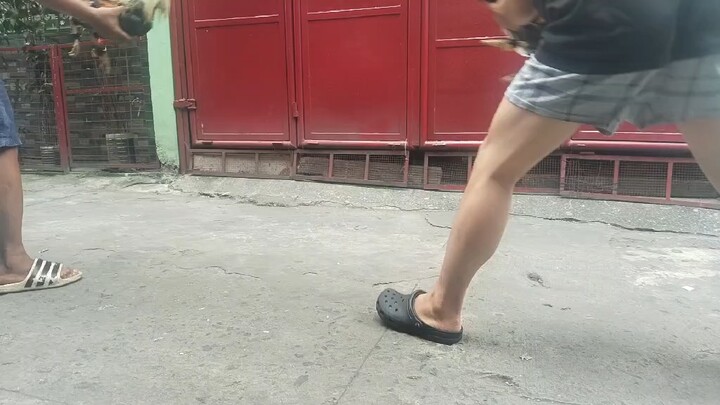 Grabeng kiskisan🤔 pwede na kaya?