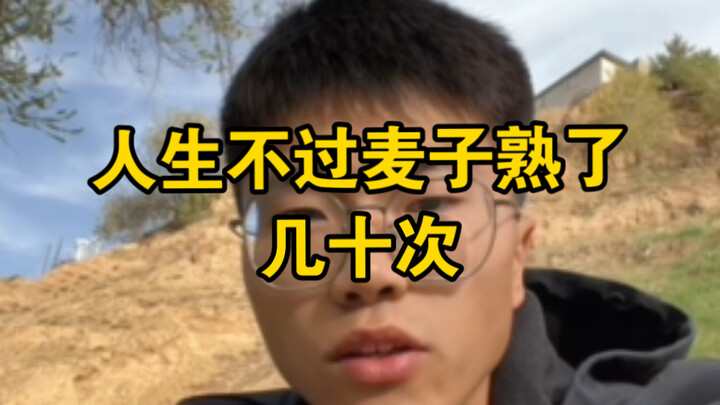 Since the Qin Dynasty, wheat has only ripened 2,245 times—so in a lifetime, you’ve only seen the whe